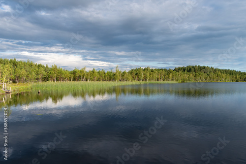 Teirumniku bog in Latgale, Latvia, historical national park, botanical zoological reserve in the forest, swamp, marsh, lakes © Michele Ursi