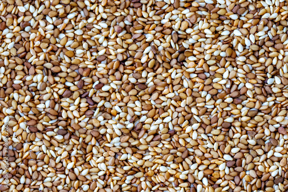 Roasted sesame close up Roasted sesame close up