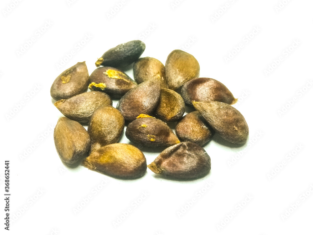 A picture of apple seeds A picture of apple seeds