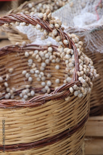 wicker basket with snails