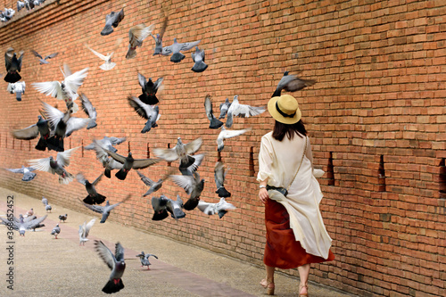 Beautiful girl is playing with birds in the park. at tha Phae Gate Chiang Mai old city ancient wall and moat  in Chiang Mai Northern Thailand. photo