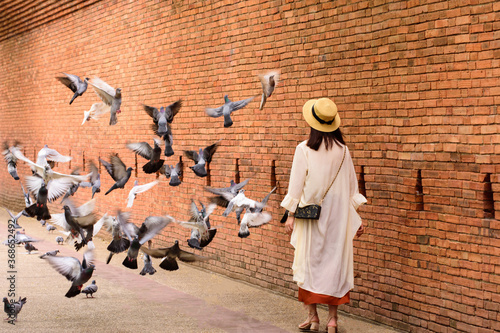 Beautiful girl is playing with birds in the park. at tha Phae Gate Chiang Mai old city ancient wall and moat  in Chiang Mai Northern Thailand. photo