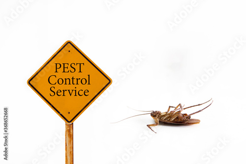 Quadro su tela Dead cockroach on floor with caution sign pest control service