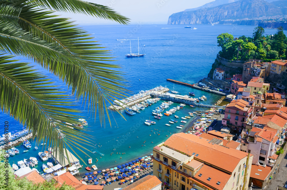 Top view at Sorrento harbor, Amalfi coast, Italy. Palm branch