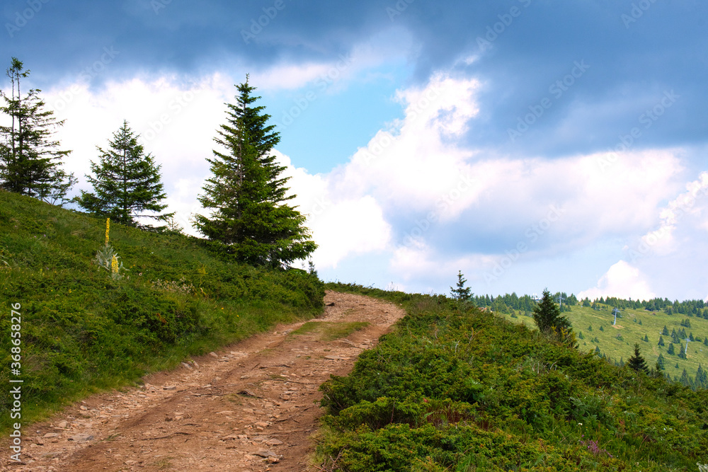 Fototapeta premium Scenic mountain road with amazing panoramic view of national park Kopaonik - famous ski resort in Serbia