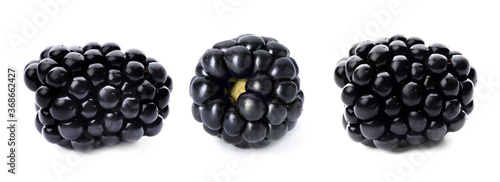 Three ripe blackberries isolated on white background, banner design