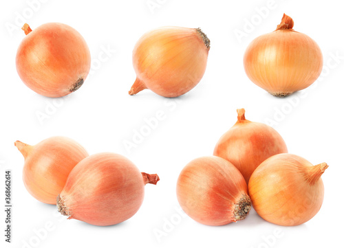 Set of yellow onion bulbs on white background