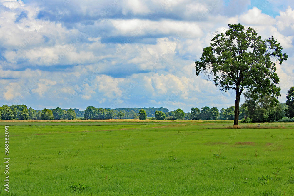 Landschaft bei Königsmoor (Niedersachsen)
