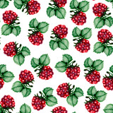 seamless pattern juicy berries cherry and raspberry drawing by watercolor