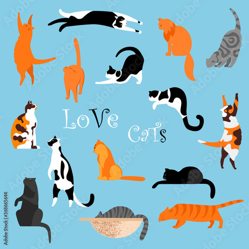 cats. a set of vector isolated images of cats. cats in different poses