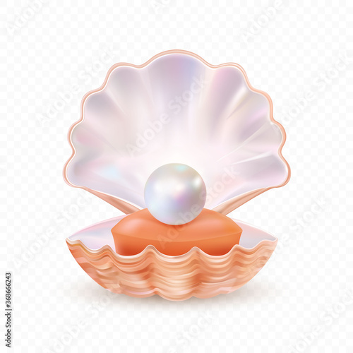 Sea shell realistic icon isolated on white background. Mother of pearl, oyster, clam. Finest quality. Vector Illustration.