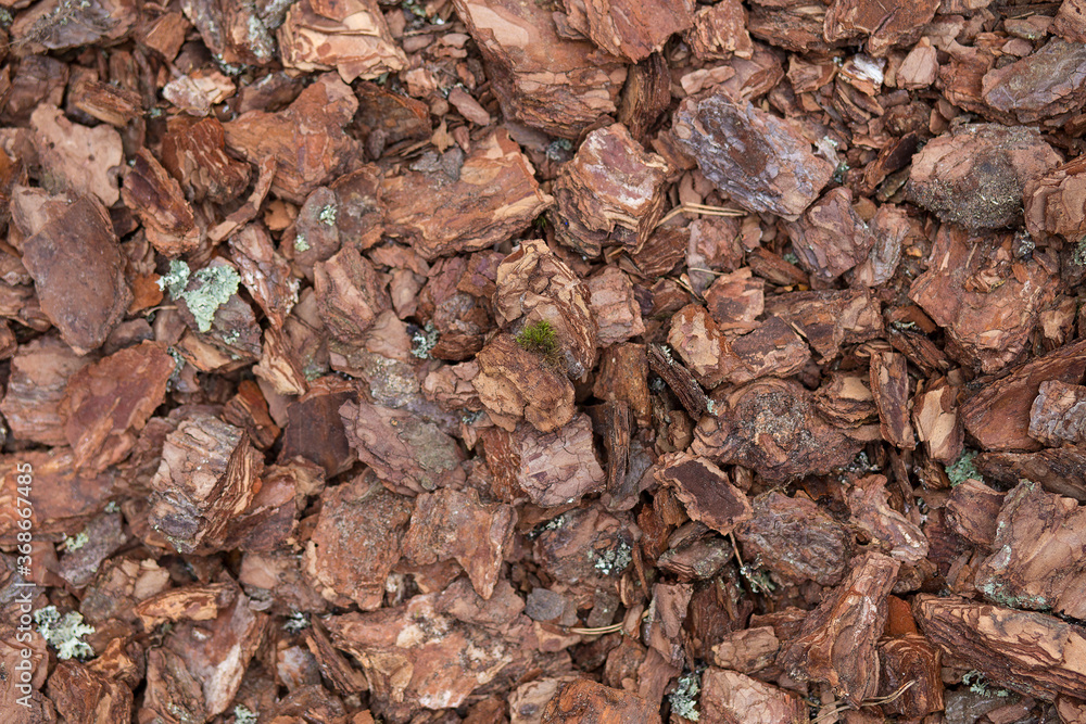 Cortex or wood chip background texture