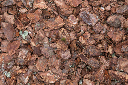 Cortex or wood chip background texture