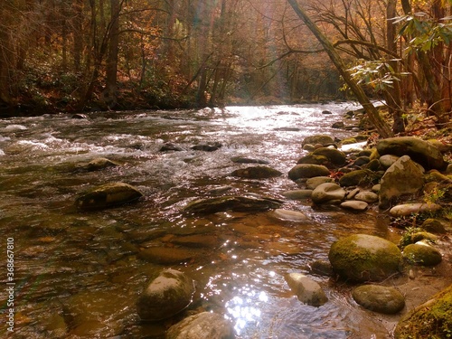 Early morning creek side peace