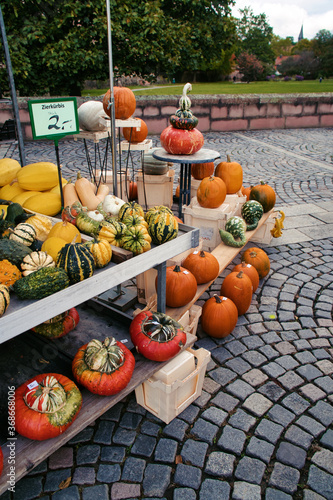 Different pumpkins at an authentic street market in Germany