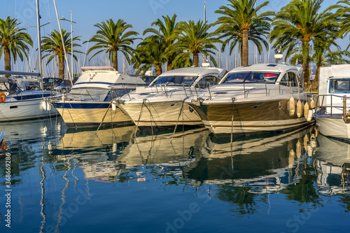 Yacht club in the morning. Mediterranean coast. Palm trees background