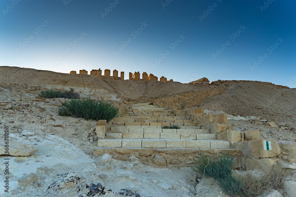 Ancient ruins in israeli negev desert travel