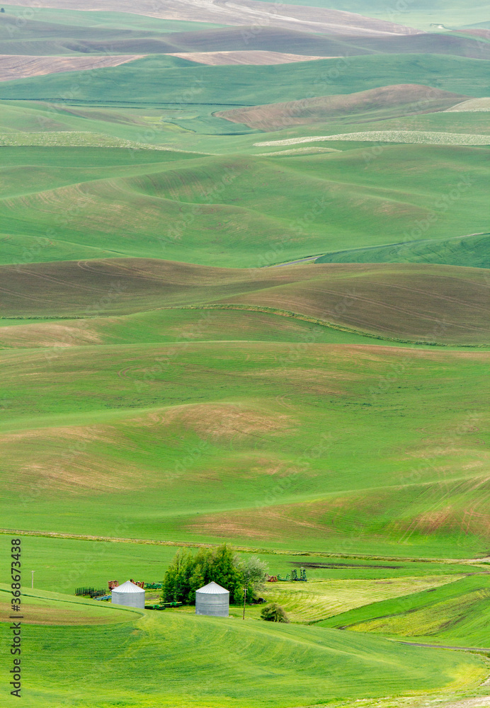 A view in the spring from Steptoe butte in the Palouse region of eastern Washington of rolling hills, farms, wheat storage facilities, and wheat land