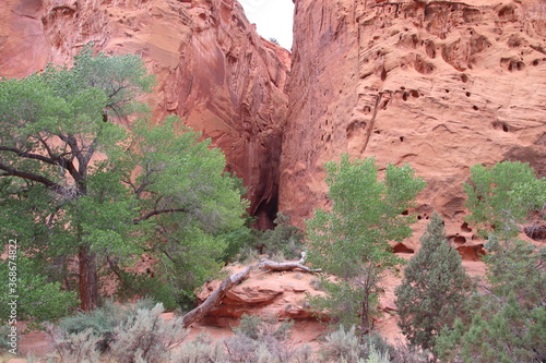 Singing Canyon along the Burr Trail