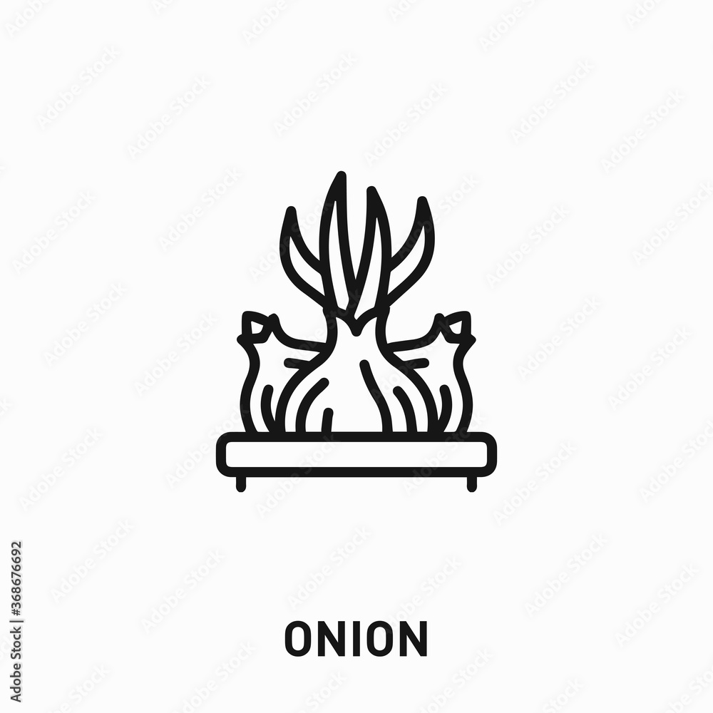 Fototapeta premium onion icon vector. onion sign symbol for your design 