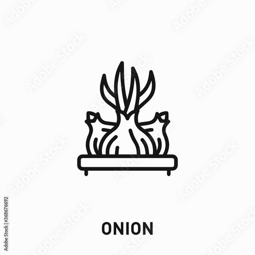 onion icon vector. onion sign symbol for your design	