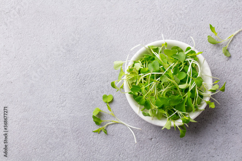 Micro herbs, watercress salad in white bowl. Grey background. Copy space. Top view.