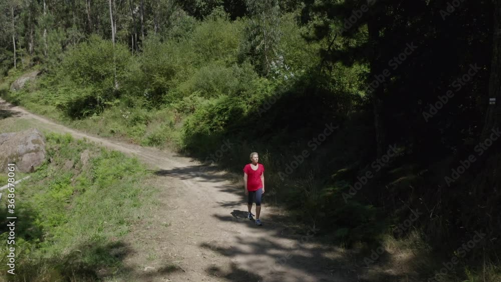 aerial view of young attractive woman walking along a forest path shooting from drone, summer time aerial view of young attractive woman walking along a forest path shooting from drone, summer time