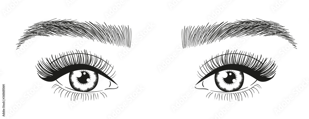 Beautiful woman eyes. Girl's eyes with long eyelashes and eyebrows sketch