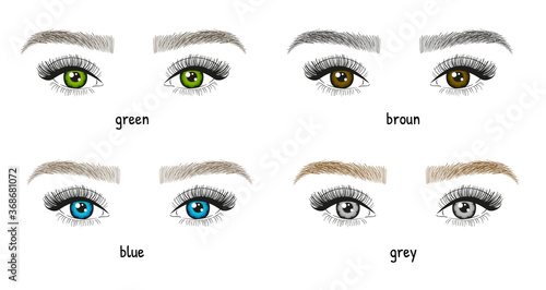 Different types and colors of eyes and eyebrows illustration. Woman's eyes with long beautiful eyelashes. - Vector