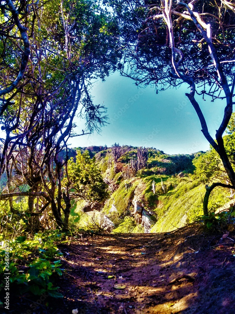 Fototapeta premium ponta do criminoso