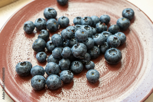 Fresh blackberries or blueberries in a brown clay ceramic plate photographed from above. Close up of fresh healthy summer berries. 