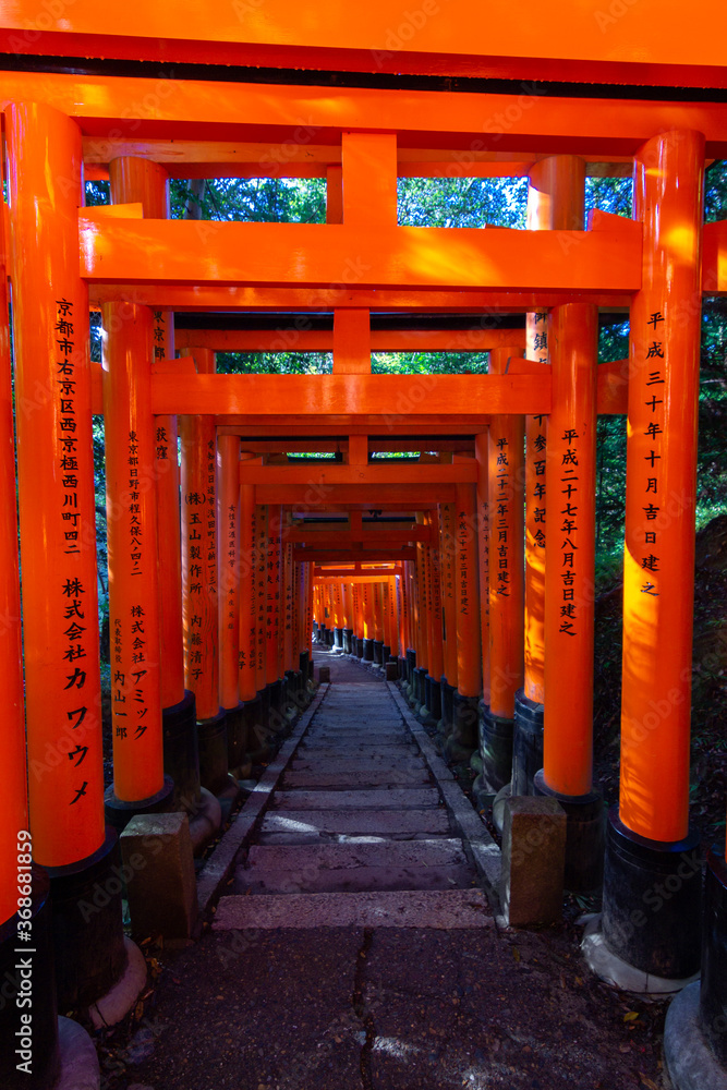 Red toriis in Fushimi near Kyoto (Japan)