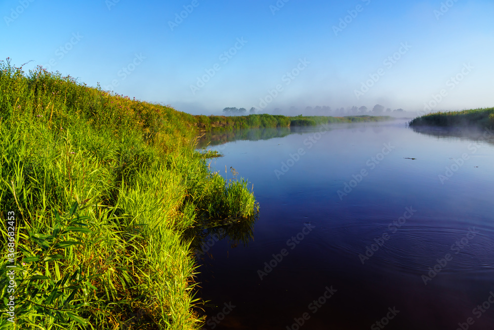 Letni poranek z mgłami w Dolinie Narwi,Podlasie ,Polska