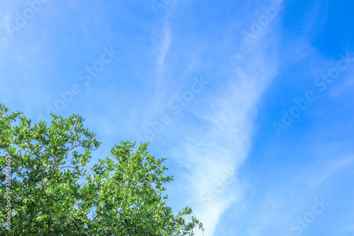 Blue sky with a thin white cloud