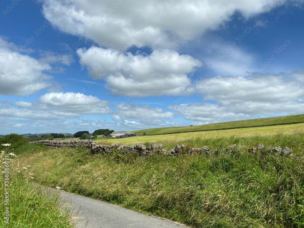 Country lane, with wild grasses, dry stone walls and fields and farm buildings in the distance near, Trawden, Colne, UK Country lane, with wild grasses, dry stone walls and fields and farm buildings in the distance near, Trawden, Colne, UK