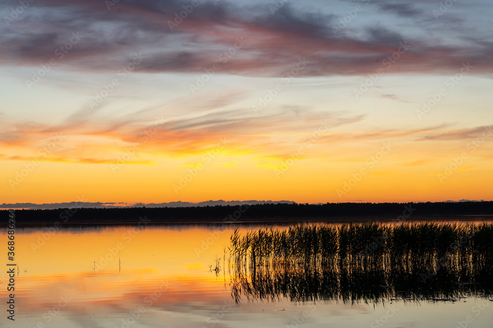 Fototapeta premium Lahemaa National Park, Estonia,. The largest park in Estonia. It was the first national park of the former Soviet Union.