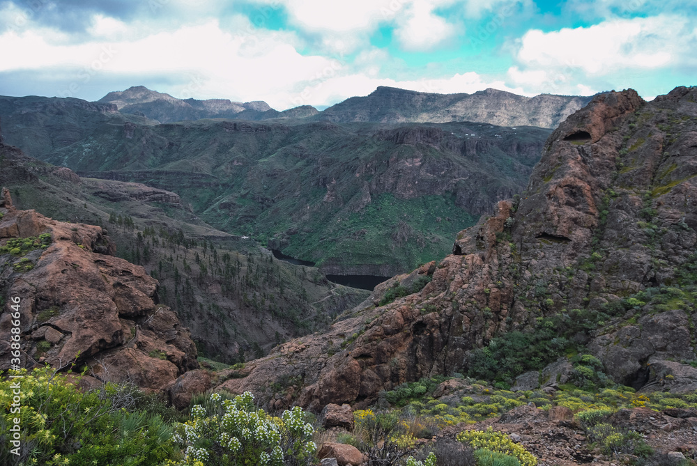 Landscape of a lake among the hills in Gran Canaria Island with rocks, bushes, different type of flowers, trees and cloudy sky mixed with intense blue color