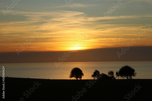 sunset over treeline