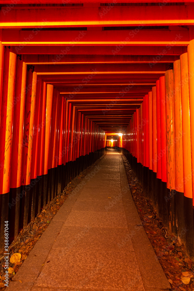 Fototapeta premium Red toriis in fushimi near Kyoto (Japan)