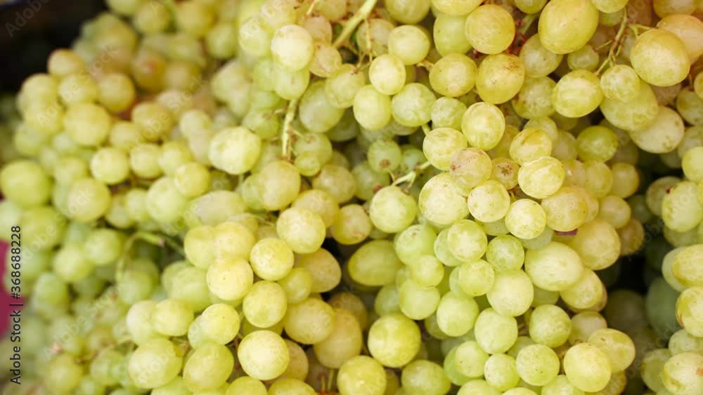 bunch of fresh green grapes bunch of fresh green grapes