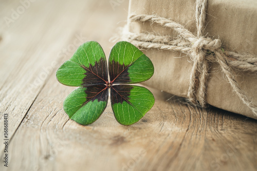 lucky clover on wooden background