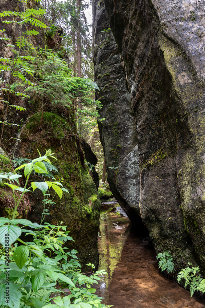 Fototapeta premium Sandstone rocks in Adrspach, Czech Republic