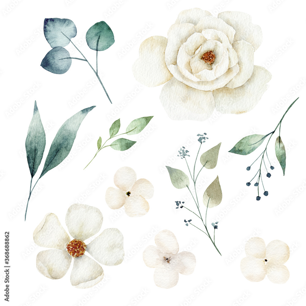 Watercolor white flower and greenery leaves set. Hand painted clipart.