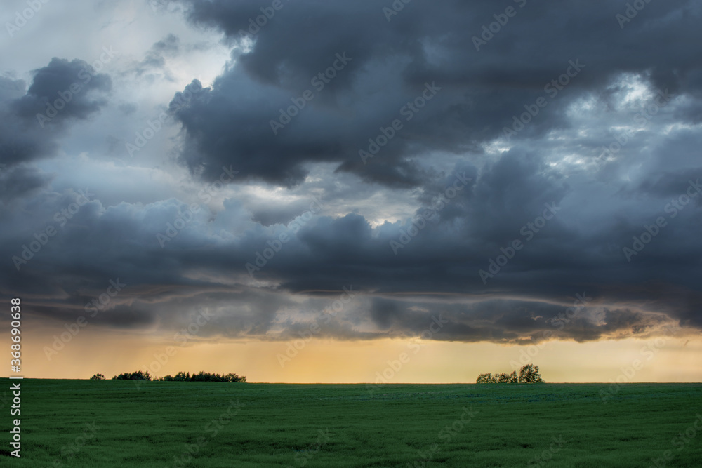 A huge, gloomy, frightening, mesmerizing thundercloud over the field, under the golden setting sun. Dawn. dramatic dark sky over rural field landscape. Horizontal photo. A huge, gloomy, frightening, mesmerizing thundercloud over the field, under the golden setting sun. Dawn. dramatic dark sky over rural field landscape. Horizontal photo.