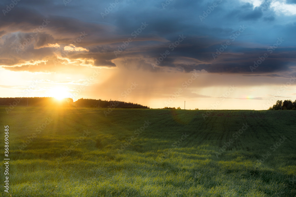 Rural landscape. Golden sunset over the field. The sun's rays and huge storm clouds create an incredible mood. Horizontal photo