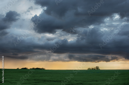 A huge, gloomy, frightening, mesmerizing thundercloud over the field, under the golden setting sun. Dawn. dramatic dark sky over rural field landscape. Horizontal photo.