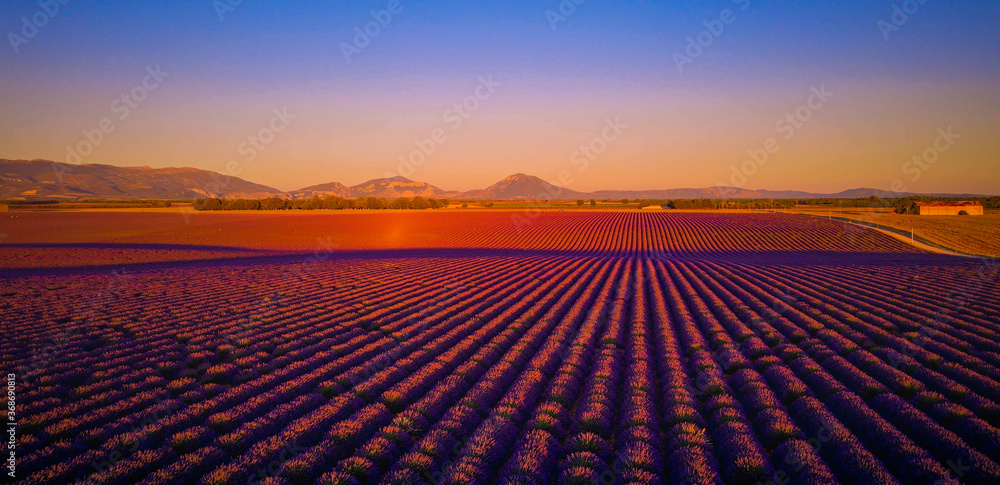 Fototapeta premium The lavender fields of Valensole Provence in France - travel photography