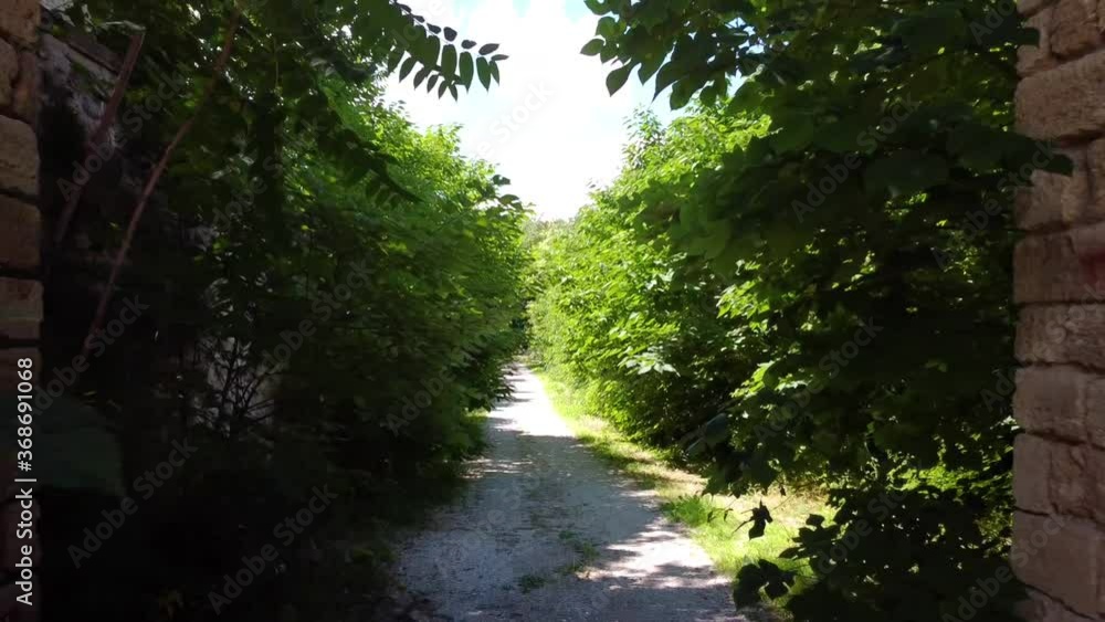 Italy 2020: Push out through thick vegetation and the gate of Faraone Vecchio. Nature, slowly, is embracing all slowly deteriorating constructions. July 2020, Abruzzo Italy 2020: Push out through thick vegetation and the gate of Faraone Vecchio. Nature, slowly, is embracing all slowly deteriorating constructions. July 2020, Abruzzo