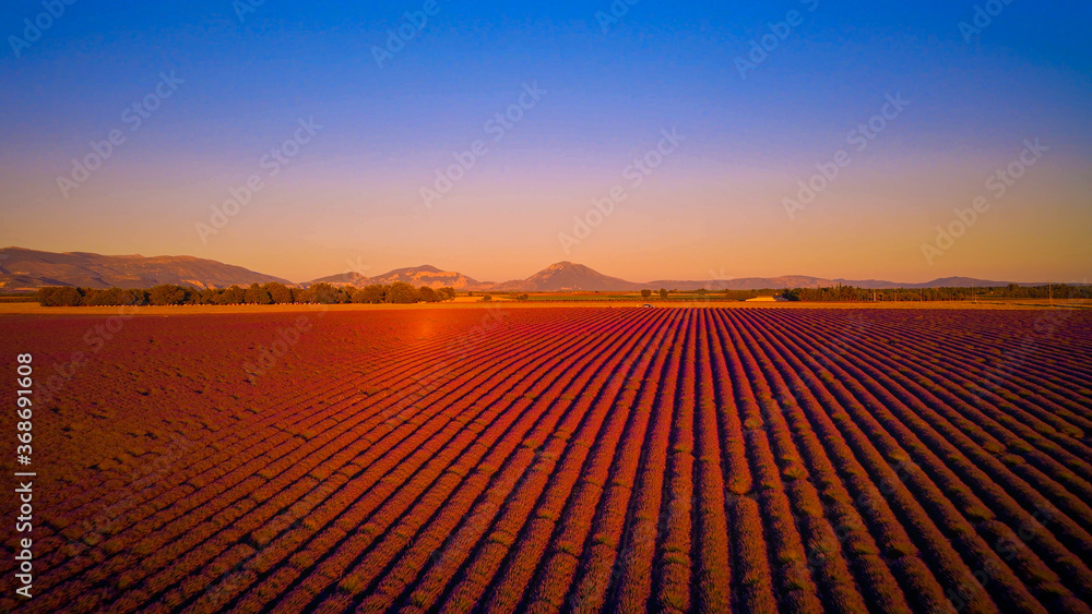 Amazing sunset over the lavender fields of Valensole Provence in France - travel photography