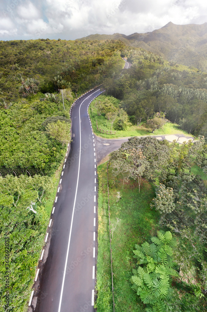 Aerial view of beautiful island forest and road
